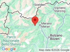 Vitalpina Hotel Schulerhof location